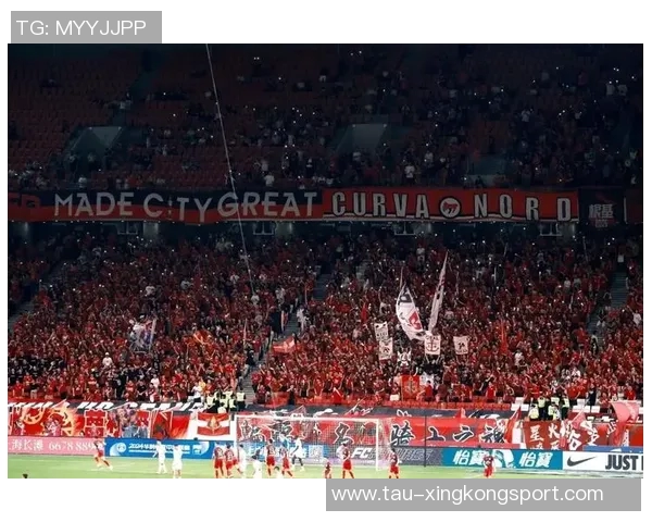 足球独中两元精彩瞬间回顾与分析助力球队争夺荣誉